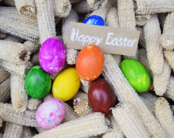 Easter Egg em fundo de milho — Fotografia de Stock