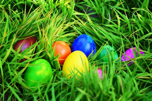 Velikonoční vejce s čerstvou trávou — Stock fotografie