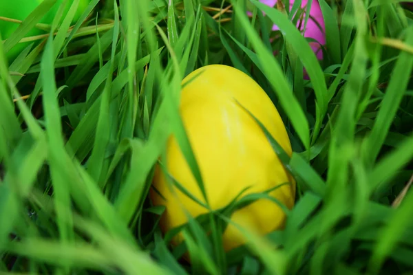 Uova di Pasqua con erba verde fresca — Foto Stock