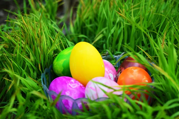 Huevos de Pascua con hierba verde fresca —  Fotos de Stock