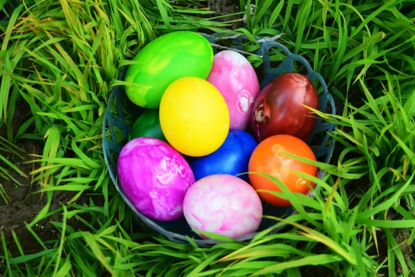 Huevos de Pascua con hierba verde fresca — Foto de Stock