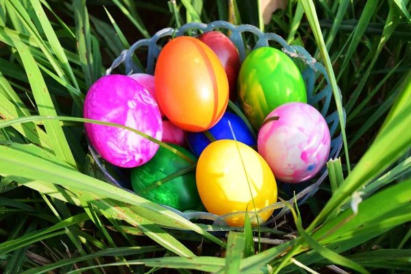 Huevos de Pascua con hierba verde fresca —  Fotos de Stock