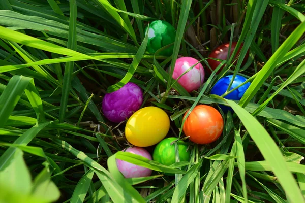 Ostereier mit frischem grünen Gras — Stockfoto