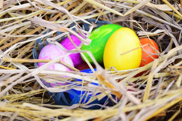 Bunte Ostereier im Nest — Stockfoto