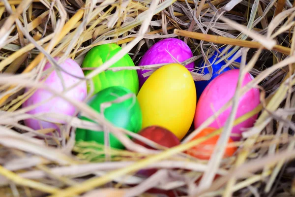 Uova di Pasqua variopinte in nido — Foto Stock