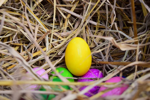 在巢里的七彩复活节彩蛋。 — 图库照片