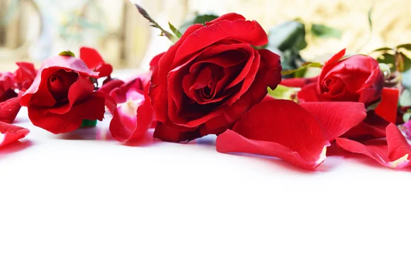 Красные розы на День Святого Валентина — стоковое фото