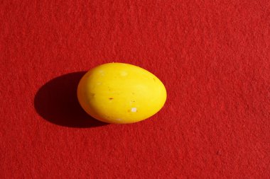 Sarı yumurta