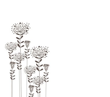 Beyaz üzerine siyah takip ediyor