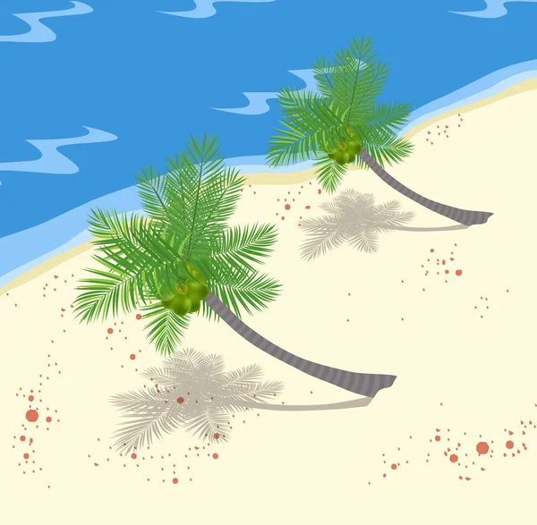 Кокоси дерево на пляжі — стоковий вектор