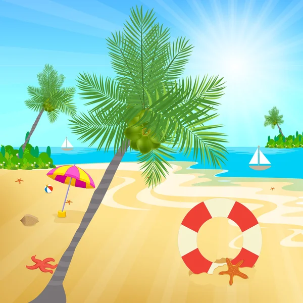 Kokosnüsse und andere Strandelemente — Stockvektor