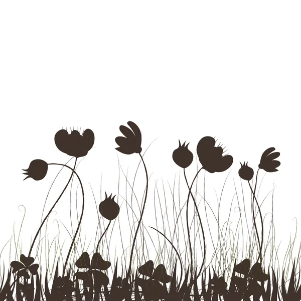 Fleurs de prairie d'été — Image vectorielle