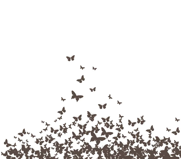 Butterflies design silhouette — Stock Vector