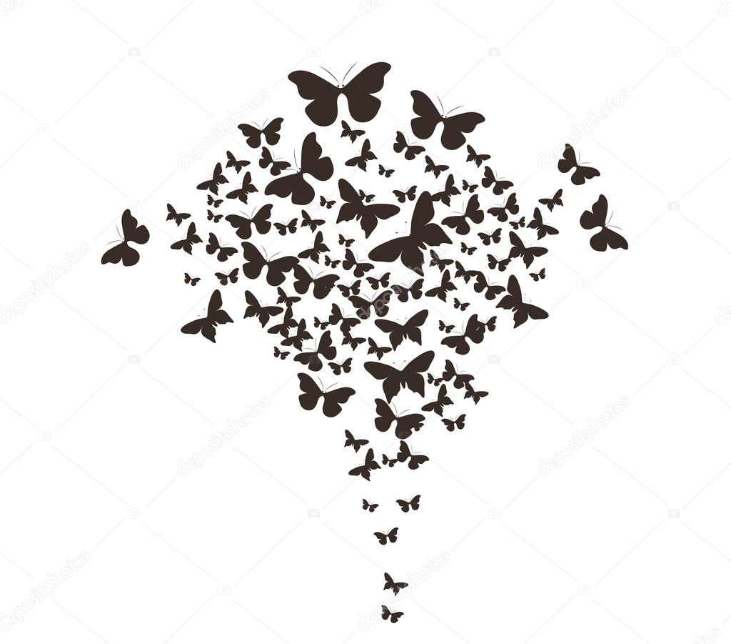 Butterflies design silhouette