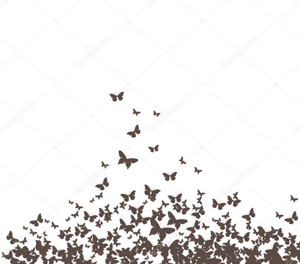 Butterflies design silhouette