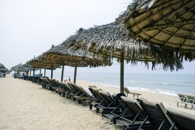 caribbean tropikal plaj