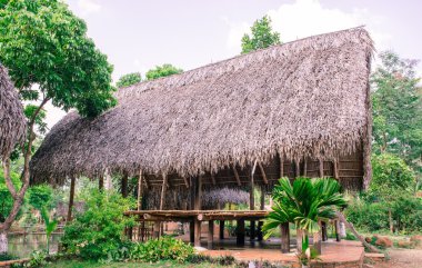 Paleolitik thatched kulübe