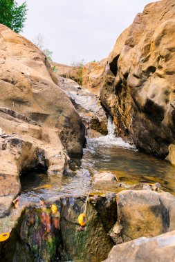 Akış çeşme cilt payı