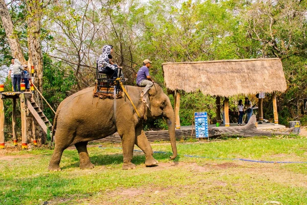 Mannen rides olifant op platteland — Stockfoto