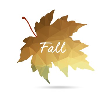 Kahverengi ve sarı akçaağaç yaprağı