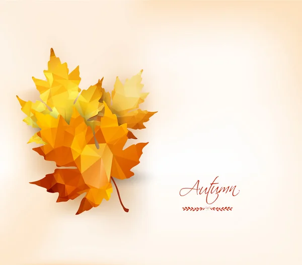 秋天的落叶框架 — 图库矢量图片