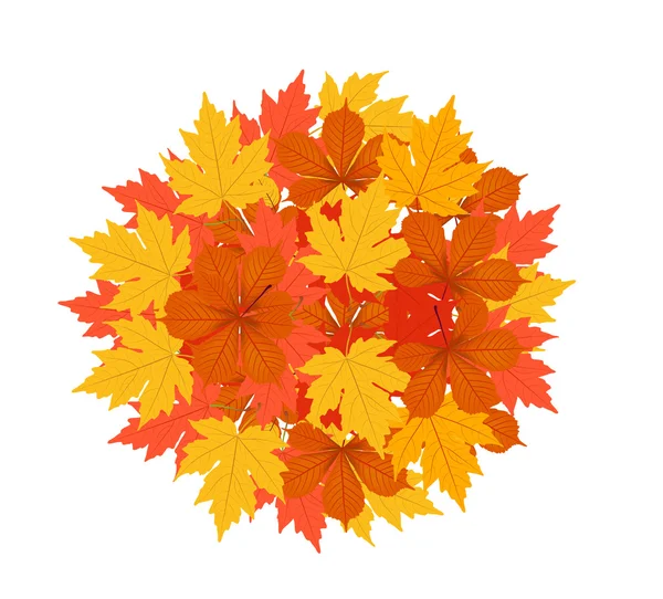 Autumn leaves art — Stock Vector