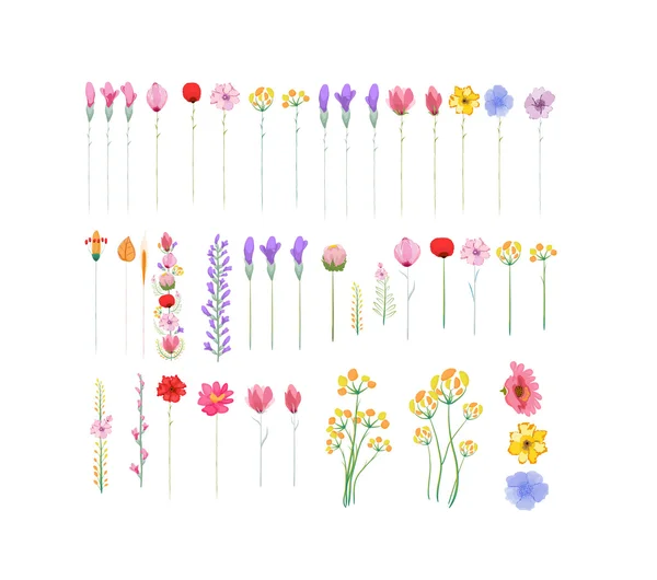 Conjunto de flores coloridas — Vetor de Stock