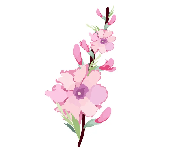 Japanische Pflaumenblüte Aquarell — Stockvektor