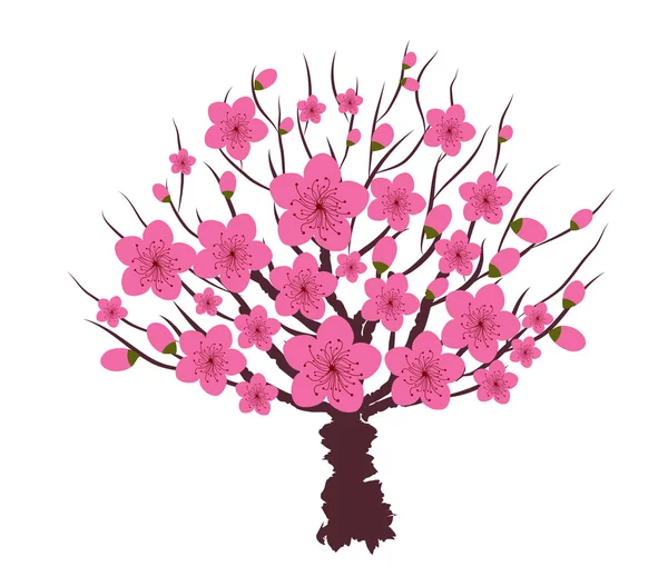 Flor de ciruela japonesa — Vector de stock