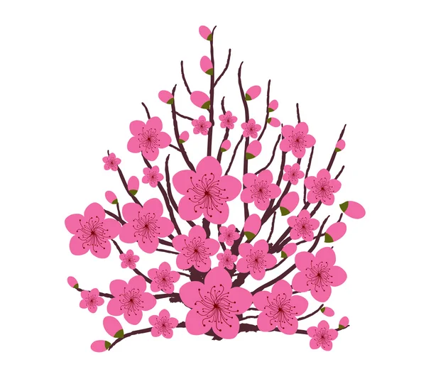 Японський Слива цвітіння — стоковий вектор