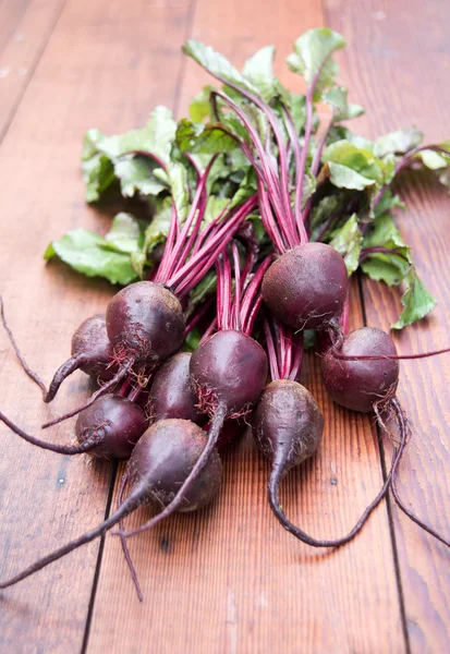 Garden Organic Beets