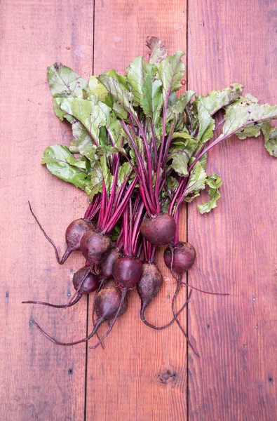 Garden Organic Beets