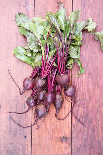 Garden Organic Beets