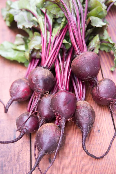 Garden Organic Beets