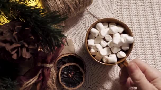 Minuman Tahun Baru - kakao dengan marshmallow — Stok Video