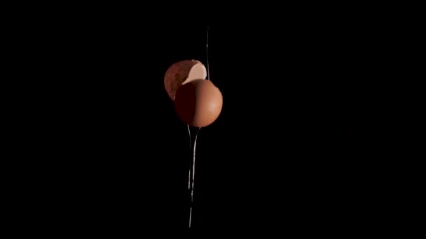 Яйце падає на ізольований чорний фон повільний рух — стокове відео