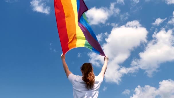 Lleva la bandera LGBT en el Día Internacional — Vídeos de Stock