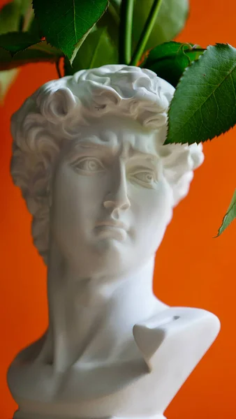 Stijlvolle moderne vaas sculptuur van David voor bloemen — Stockfoto