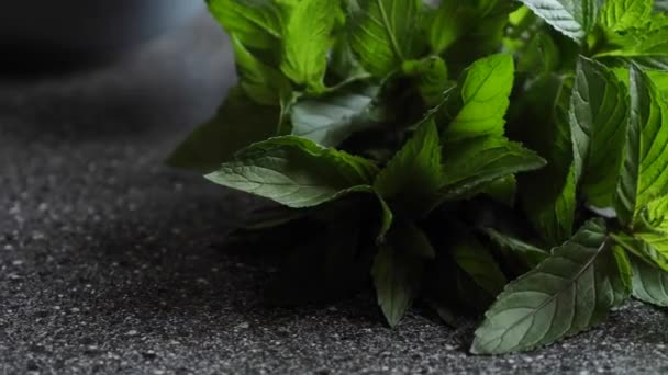 Fresh mint on the table close-up — Stock Video