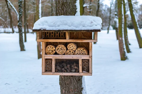 Insect hotel or insect house in snowy winter