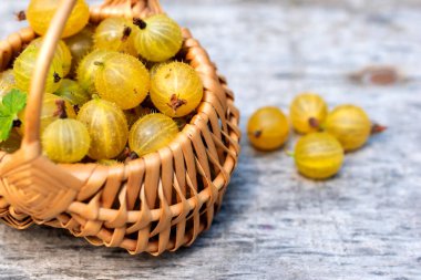 Wicker basket on wooden table full of ripe yellow gooseberries.