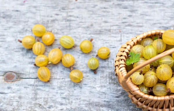 View from above of wicker basket on wooden table full of yellow gooseberries.