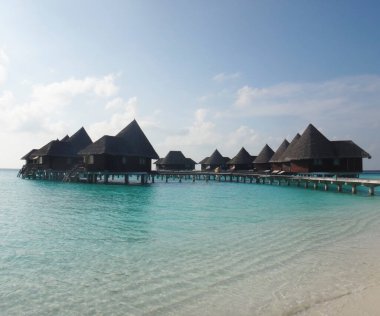 Maldivler. Cennet köşesi. Coco Palm Adası.