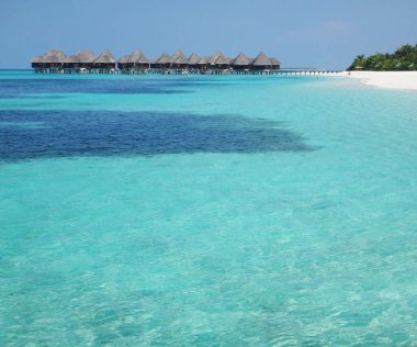 Maldivler. Cennet köşesi. Coco Palm Adası.