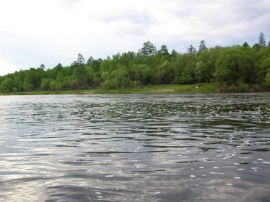   Tayga. Uzak Doğu 'nun doğası. Yaz manzarası. Ormanın arka planındaki nehir..