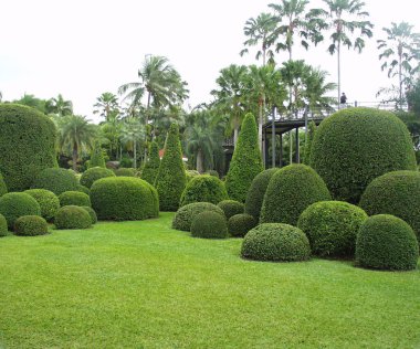 Tayland 'daki güzel tropikal manzara