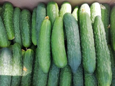 Satılık bir kutuda yeşil salatalıklar