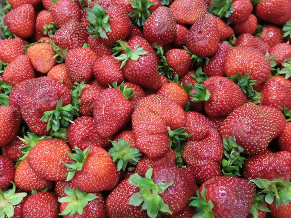 Bright Red Background Lot Strawberries Close — Stock Photo, Image