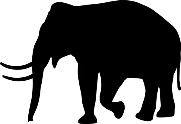 Silhouette di elefante — Vettoriale Stock