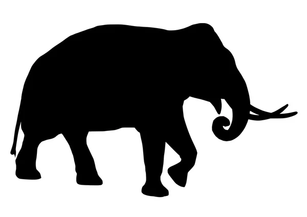 Elefante silhouette — Vettoriale Stock